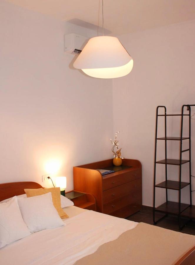 Apartman Maslina 希贝尼克 外观 照片